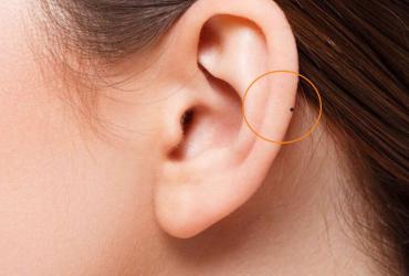 Xem Tướng Tai - Đoán Ngay Tính Cách và Tương Lai