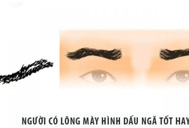 Xem Tướng Lông Mày Lượn Sóng Hình Dấu Ngã