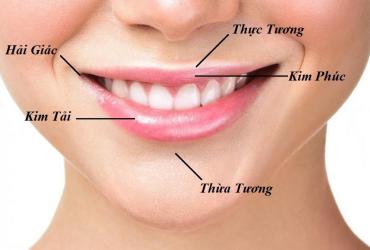 Tiết lộ tính cách và số mệnh cuộc đời mỗi người qua các bộ vị của miệng