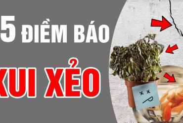 15 điềm báo xui xẻo khi ập vào nhà bạn, bạn phải biết để phòng tránh