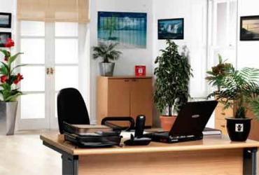 5 Chiêu thức phong thủy giúp bạn dễ dàng thăng chức