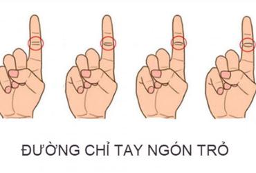 Vận mệnh sang hay hèn xem đường chỉ tay ngón trỏ là biết