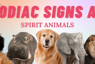 Khám Phá Danh Sách Các Con Vật May Mắn Của 12 Cung Hoàng Đạo