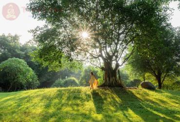 Điểm Danh Top 5 Cung Hoàng Đạo Yêu Cái Đẹp Thiên Nhiên