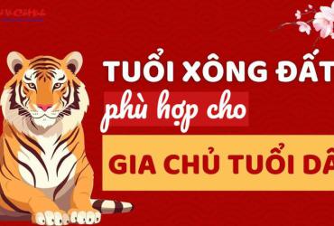 Xông Đất Gia Chủ Tuổi Dần: Bí Quyết Chọn Người May Mắn Đầu Năm