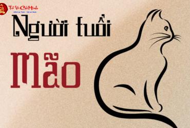 Xông Đất Gia Chủ Tuổi Mẹo: Bí Quyết Chọn Người Xông Đất May Mắn Đầu Năm