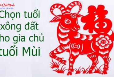 Xông Đất Gia Chủ Tuổi Mùi: Hướng Dẫn Chọn Người Hợp Tuổi Theo Phong Thủy