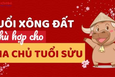 Xông Đất Gia Chủ Tuổi Sửu: Chọn Người Mang Lại May Mắn Đầu Năm
