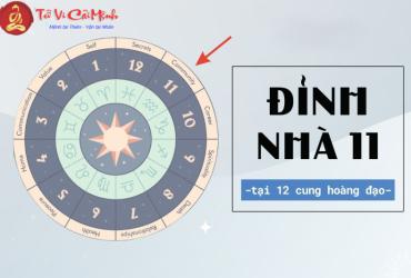 Đỉnh nhà 11 tại 12 cung hoàng đạo